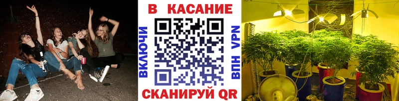Где продают наркотики Москва Марихуана Меф мяу мяу Alpha PVP ГАШ