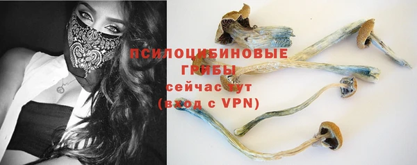 стафф Горно-Алтайск