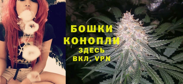 стафф Горно-Алтайск