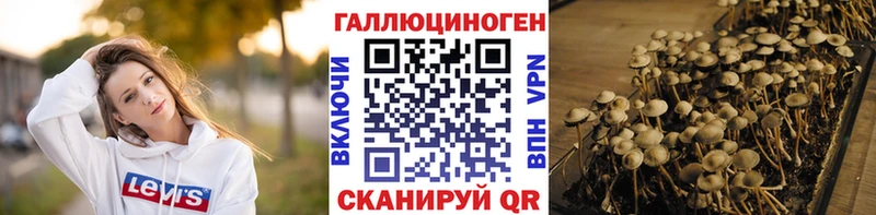 Псилоцибиновые грибы Psilocybe  дарнет шоп  гидра онион  Москва 